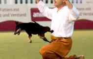 Dogdancing: tanec turnaj so psami