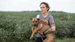 45 Psov bolo uložených v kansase