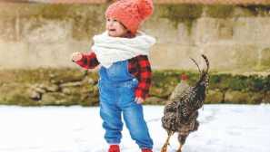 Ľudské fóbie spojené so zvieratami