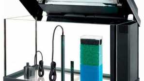 Zariadenie v akváriách sa vyžaduje pre každý akvarista