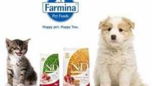 Farmaceutické jedlo pre psy nd, charakteristiky