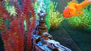 Umelé rastliny na akvárium - ako ich pripraviť tak, aby vyzerali ako skutočné?