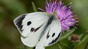 Ekológia príručka