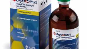 Enkoxyl pre dogy: pokyny na používanie riešení a tabliet, analógy