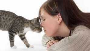 Kvapky z červov a blchy na kohútik pre mačky