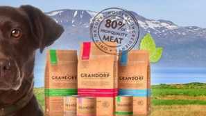 Vlastnosti pre psov pre psov Grandorf: Popis, dôstojnosť a recenzie veterinárnych lekárov