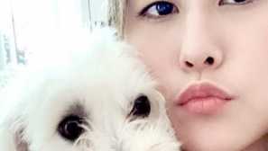 Lizzy capri a jej pes