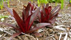 Litecy brood-červený popis obsahov.