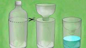 Pasce pre muchy. Do-it-yourself pasca s vlastnými rukami je výsledkom úsilia stráveného pasce pre muchy a ovocné muchy