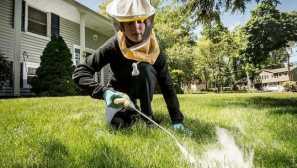 Najlepšie nástroje na spracovanie lokality z komárov sú opísané aktívnymi látkami, pokyny na prípravu riešení, pravidlá spracovania územia, ceny