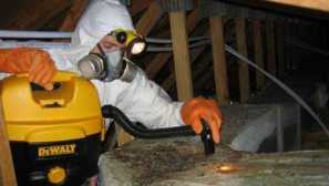 Najlepšie lieky od myší