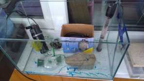 Roztrhávanie akvárium alebo trenie, ako aj metódy a vybavenie.