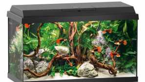 Potrebuje akvárium veko?