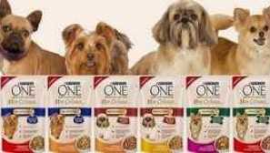 Prehľad jedla pre psov malých plemien z purínu