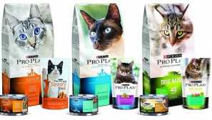 Výhody a nevýhody hnacieho plynu pre mačky