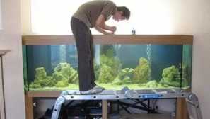 Diy aquarium opravy doma