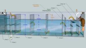 Samp pre akvárium: čo je to, princíp práce