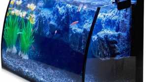 Najneobvyklejšie akváriá