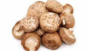 Shiitake