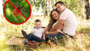 Poistenie poistných programov, aké služby zahŕňa, ako zariadiť, koľko to stojí