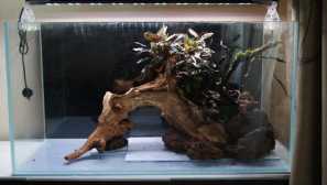 Spustite prírodné akvárium podľa typu ostrov